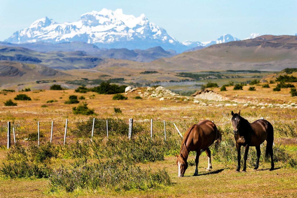 torres-del-paine-o-circuit-trek-tips